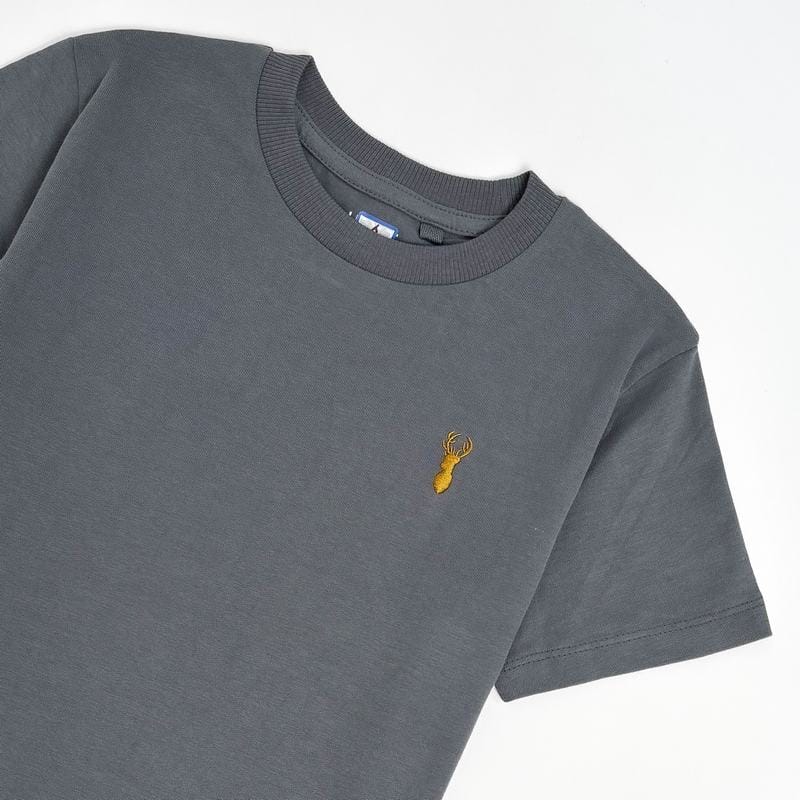 خرید تیشرت بچه گانه پسرانه ساده برند نکست از برندپوش