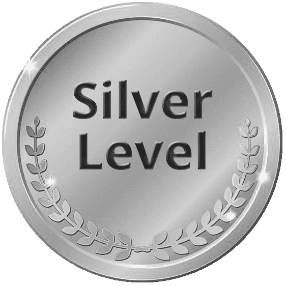 silver level1
